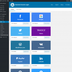 Page screenshot: Settings &rarr; Nextend Social Login
