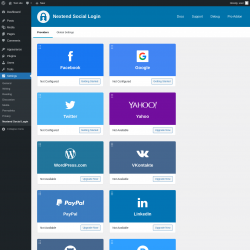 Page screenshot: Settings &rarr; Nextend Social Login