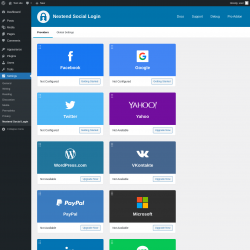 Page screenshot: Settings &rarr; Nextend Social Login