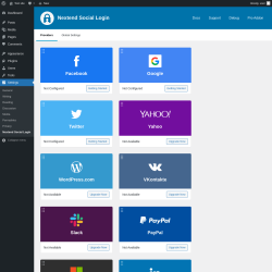 Page screenshot: Settings &rarr; Nextend Social Login