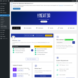 Page screenshot: Appearance &rarr; Nexter Settings