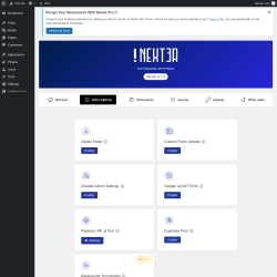 Page screenshot: Appearance &rarr; Nexter Settings &rarr; Extra Options