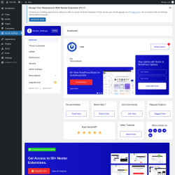 Page screenshot: Nexter Settings