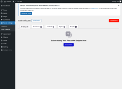 Page screenshot: Nexter Settings &rarr; Code Snippets