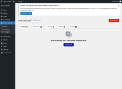 Page screenshot: Nexter Settings &rarr; Code Snippets