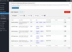 Page screenshot: Nexter Extension &rarr; Code Snippets
