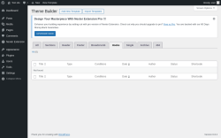 Page screenshot: Nexter Extension &rarr; Theme Builder &rarr; Hooks