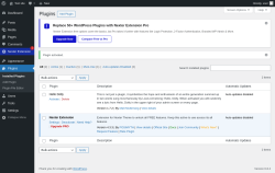 Page screenshot: Plugins &lsaquo; Test site &mdash; WordPress