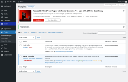 Page screenshot: Plugins &lsaquo; Test site &mdash; WordPress