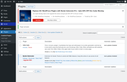 Page screenshot: Plugins &lsaquo; Test site &mdash; WordPress