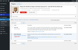 Page screenshot: Plugins &lsaquo; Test site &mdash; WordPress