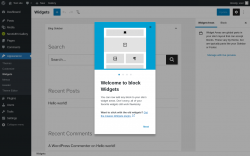 Page screenshot: Widgets &lsaquo; Test site &mdash; WordPress