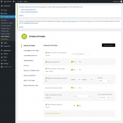 Page screenshot: NextGEN Gallery &rarr; Other Options