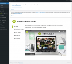Page screenshot: Overview &lsaquo; Test site &mdash; WordPress