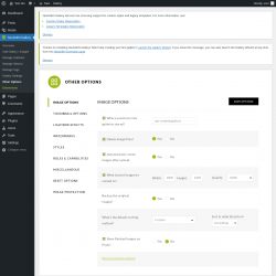 Page screenshot: NextGEN Gallery &rarr; Other Options