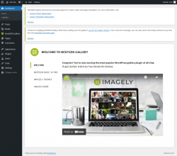 Page screenshot: Overview &lsaquo; Test site &mdash; WordPress