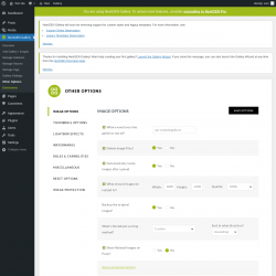 Page screenshot: NextGEN Gallery &rarr; Other Options