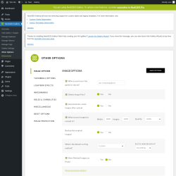 Page screenshot: NextGEN Gallery &rarr; Other Options