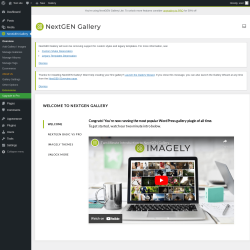 Page screenshot: NextGEN Gallery &rarr; Overview
