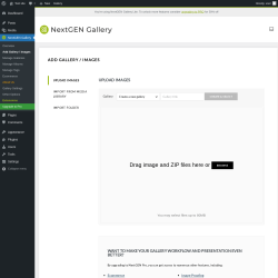 Page screenshot: NextGEN Gallery &rarr; Add Gallery / Images