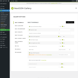 Page screenshot: NextGEN Gallery &rarr; Gallery Settings