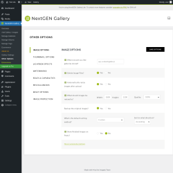Page screenshot: NextGEN Gallery &rarr; Other Options