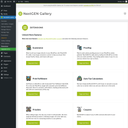 Page screenshot: NextGEN Gallery &rarr; Extensions