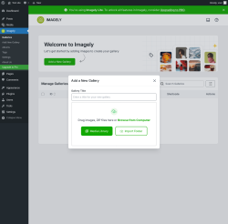 Page screenshot: Imagely &rarr; Add New Gallery