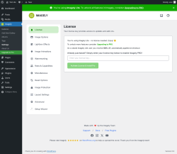 Page screenshot: Imagely &rarr; Settings