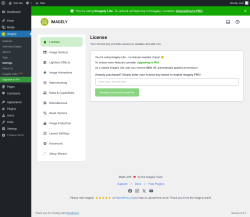 Page screenshot: Imagely &rarr; Settings