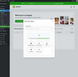 Page screenshot: Imagely &rarr; Add New Gallery