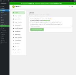 Page screenshot: Imagely &rarr; Settings