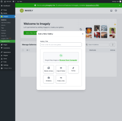 Page screenshot: Imagely &rarr; Add New Gallery