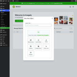Page screenshot: Imagely &rarr; Add New Gallery
