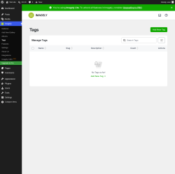 Page screenshot: Imagely &rarr; Tags