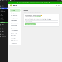Page screenshot: Imagely &rarr; Settings