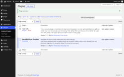 Page screenshot: Plugins &lsaquo; Test site &mdash; WordPress