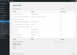 Page screenshot: Tools &rarr; Options Table