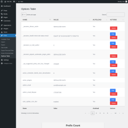 Page screenshot: Tools &rarr; Options Table