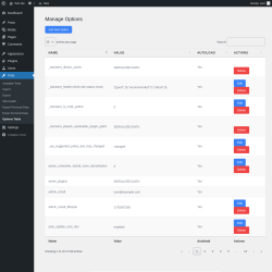Page screenshot: Tools &rarr; Options Table