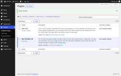 Page screenshot: Plugins &lsaquo; Test site &mdash; WordPress