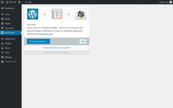 Page screenshot: nichetablewpwp ‹ Test site — WordPress