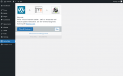 Page screenshot: nichetablewpwp ‹ Test site — WordPress