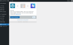 Page screenshot: nichetablewpwp ‹ Test site — WordPress