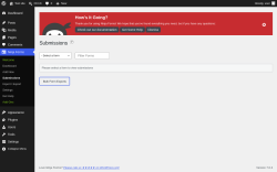 Page screenshot: Ninja Forms &rarr; Submissions