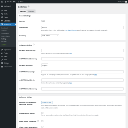 Page screenshot: Ninja Forms &rarr; Settings