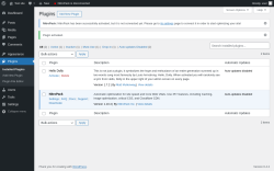 Page screenshot: Plugins &lsaquo; Test site &mdash; WordPress