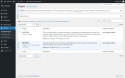 Page screenshot: Plugins &lsaquo; Test site &mdash; WordPress