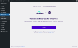Page screenshot: NitroPack → System Report