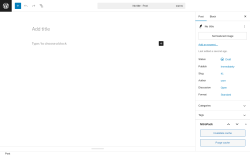 Page screenshot: Add Post &lsaquo; Test site &mdash; WordPress